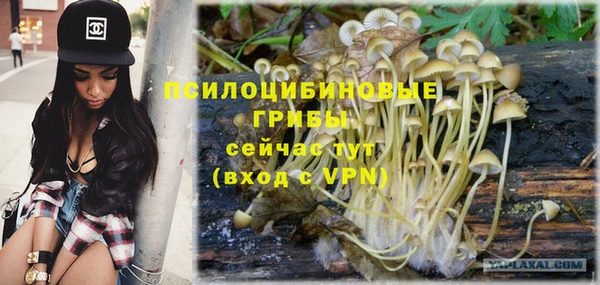 стафф Армянск